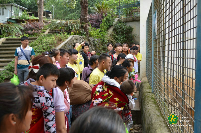 (图为孩子们在看动物)