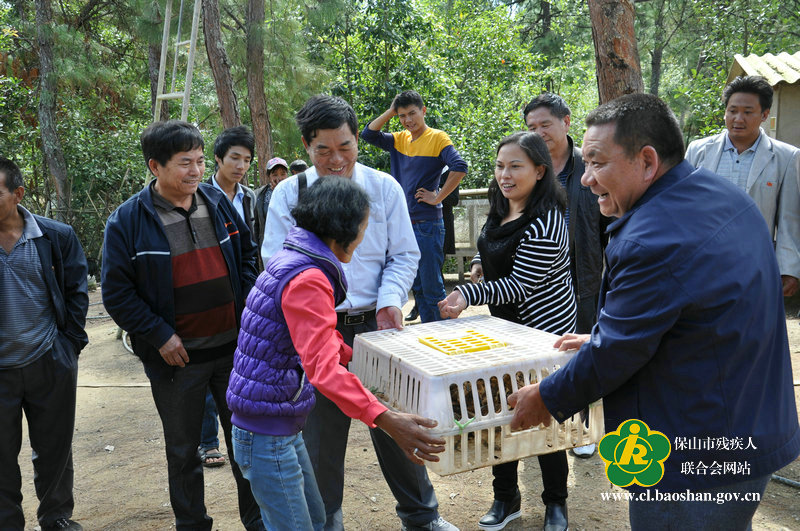 图为市残联领导向挂钩户赠送鸡苗